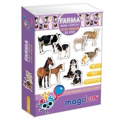 Magnetukų rinkinys Farma Mum and Child MV 6032-08, 18 vnt. kaina ir informacija | Lavinamieji žaislai | pigu.lt