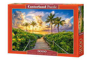 Пазл Castorland Puzzle Colorful Sunrise in Miami,USA 3000 д. цена и информация | Пазлы | pigu.lt