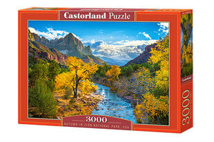 Dėlionė Castorland Puzzle Autumn in Zion National Park, USA 3000 d. kaina ir informacija | Dėlionės (puzzle) | pigu.lt