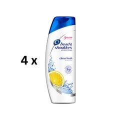 Šampūnas HEAD & SHOULDERS Citrus, 400 ml, pakuotė 4 vnt. kaina ir informacija | Šampūnai | pigu.lt