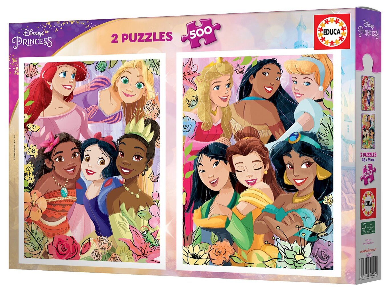Dėlionės Educa Disney Princess, 2x500 detalių kaina ir informacija | Dėlionės (puzzle) | pigu.lt