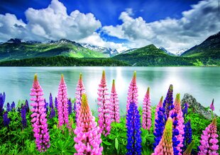 Dėlionė (puzzle) 1500 Lupins on Lake Sils, Switzerland, 4-99metų цена и информация | Пазлы | pigu.lt