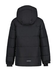 Детская куртка Icepeak Louin 300 г 50035-2*990 6438522711304, черная цена и информация | Куртка для мальчика | pigu.lt