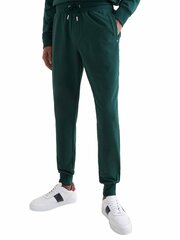 Мужские брюки Tommy Hilfiger, зелёные цена и информация | Мужская спортивная одежда | pigu.lt