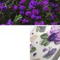 Ringke Fusion iPhone 14 Plus transparent (Purple rose) (FD637E29) цена и информация | Telefono dėklai | pigu.lt