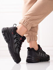 Žygio batai moterims DK POL80267.2683 kaina ir informacija | Aulinukai, ilgaauliai batai moterims | pigu.lt