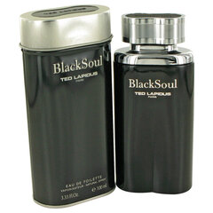 Мужская парфюмерия Black Soul Ted Lapidus EDT: Емкость - 100 ml цена и информация | Мужские духи | pigu.lt