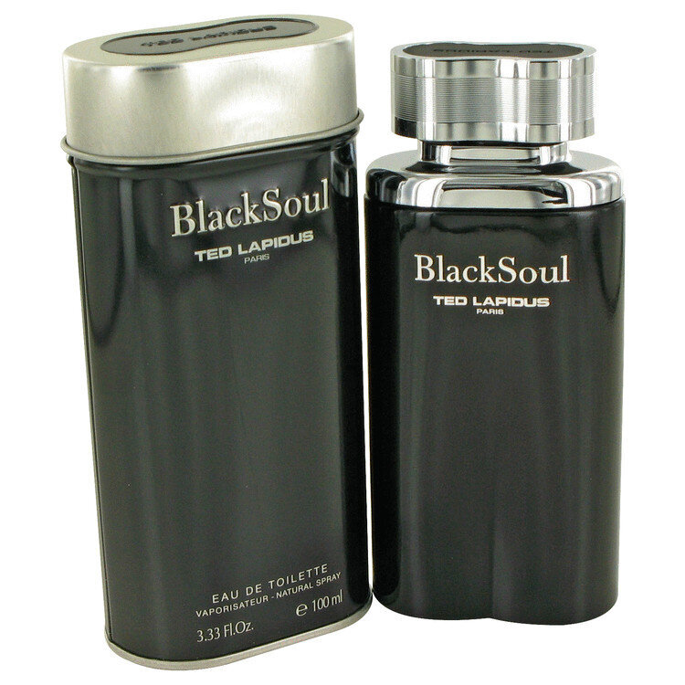 Tualetinis vanduo Ted Lapidus Black Soul EDT vyrams 100 ml kaina ir informacija | Kvepalai vyrams | pigu.lt