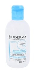 Очищающее молочко для лица Bioderma Hydrabio, 250 мл цена и информация | Средства для очищения лица | pigu.lt