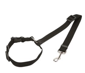 Car seat belt leash for dog cat цена и информация | Поводки для собак | pigu.lt