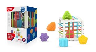 Lankstus kubelių rūšiavimo žaislinis kvadratas kaina ir informacija | Žaislai kūdikiams | pigu.lt