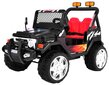 Vienvietis vaikiškas elektromobilis Ramiz Raptor, juodas цена и информация | Elektromobiliai vaikams | pigu.lt