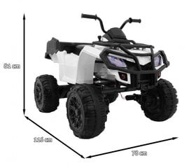 Vaikiškas elektrinis keturratis Quad XL ATV,baltas цена и информация | Электромобили для детей | pigu.lt