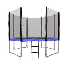 Batutas Su tinkleliu Skyramiz 305 cm цена и информация | Батуты | pigu.lt