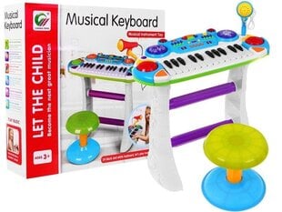 Vaikiškas pianinas su mikrofonu ir kėdute CanHui Toys BB335B цена и информация | Развивающие игрушки | pigu.lt