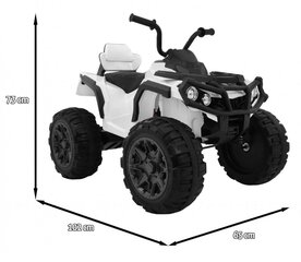 Vaikiškas elektrinis keturratis Quad ATV, baltas цена и информация | Электромобили для детей | pigu.lt