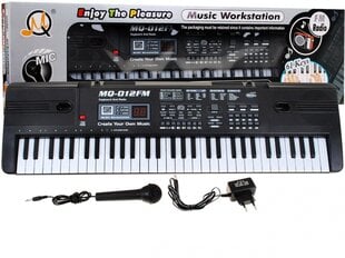 Elektroninis pianinas vaikams MQ-012FM kaina ir informacija | Lavinamieji žaislai | pigu.lt