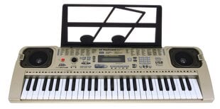 Elektroninis pianinas vaikams MQ-807USB цена и информация | Развивающие игрушки | pigu.lt