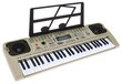 Elektroninis pianinas vaikams MQ-807USB kaina ir informacija | Lavinamieji žaislai | pigu.lt