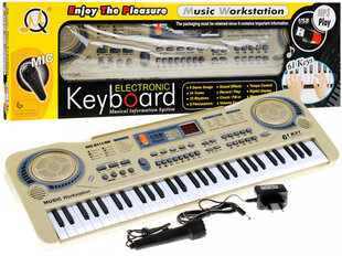 Sintezatorius - pianinas su mikrofonu, 53cm kaina ir informacija | Žaislai berniukams | pigu.lt