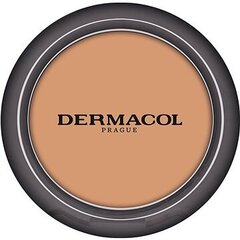 Корректор для макияжа Dermacol цвет 4.0 tan, 2 г цена и информация | Пудры, базы под макияж | pigu.lt