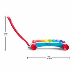 Muzikinis žaislas Fisher Price ksilofonas/stumdukas kaina ir informacija | Žaislai kūdikiams | pigu.lt