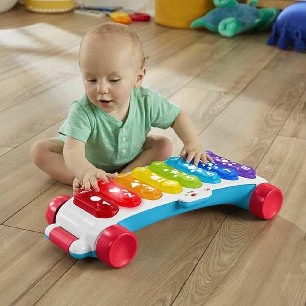 Muzikinis žaislas Fisher Price ksilofonas/stumdukas kaina ir informacija | Žaislai kūdikiams | pigu.lt