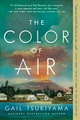Color of Air: A Novel цена и информация | Фантастика, фэнтези | pigu.lt