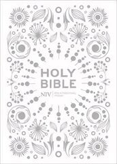 Holy Bible kaina ir informacija | Dvasinės knygos | pigu.lt