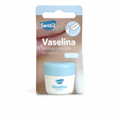 Vazelinas Senti2 Neutral, 20 ml kaina ir informacija | Lūpų dažai, blizgiai, balzamai, vazelinai | pigu.lt