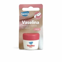 Vazelinas Senti2 Braškė, 20 ml kaina ir informacija | Lūpų dažai, blizgiai, balzamai, vazelinai | pigu.lt