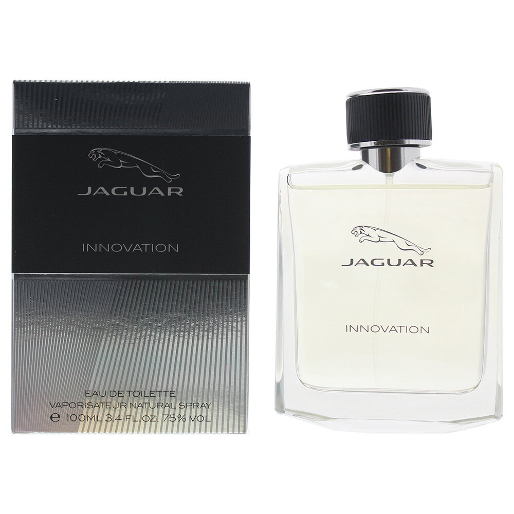 Tualetinis vanduo Jaguar Innovation EDT vyrams 100 ml цена и информация | Kvepalai vyrams | pigu.lt