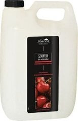 Šampūnas dažytiems plaukams Joanna Professional 5000 ml kaina ir informacija | Šampūnai | pigu.lt