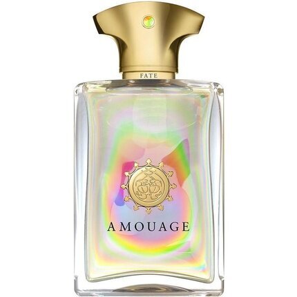 Kvapusis vanduo Amouage Fate for Men EDP vyrams 50 ml цена и информация | Kvepalai vyrams | pigu.lt