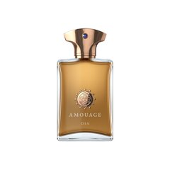 Парфюмерная вода Amouage Dia pour Homme EDP для мужчин 50 мл цена и информация | Мужские духи | pigu.lt