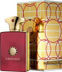 Аромат Amouage Journey Man EDP, 50 мл цена и информация | Мужские духи | pigu.lt