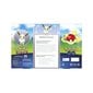 Pokemon TCG GO Premium Collection Radiant Eevee kaina ir informacija | Žaidėjų atributika | pigu.lt