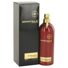 Kvapusis vanduo Montale Paris Silver Aoud EDP vyrams, 100 ml цена и информация | Мужские духи | pigu.lt