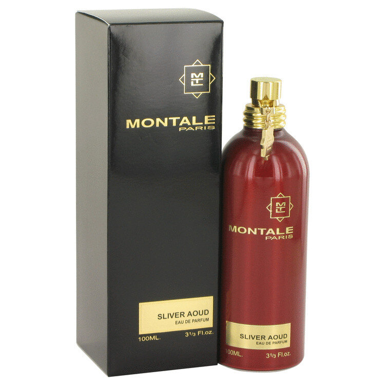 Kvapusis vanduo Montale Paris Silver Aoud EDP vyrams, 100 ml цена и информация | Kvepalai vyrams | pigu.lt