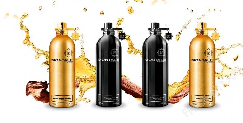 Kvapusis vanduo Montale Paris Steam Aoud EDP moterims/vyrams 100 ml kaina ir informacija | Kvepalai vyrams | pigu.lt