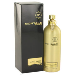 Парфюм Montale Paris Aoud Ambre EDP для мужчин/женщин, 100 мл цена и информация | Женские духи | pigu.lt