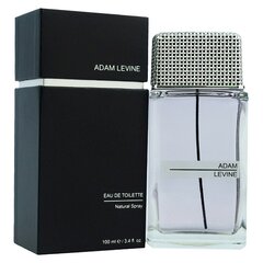 Туалетная вода Adam Levine Adam Levine for Men EDT 100 мл цена и информация | Мужские духи | pigu.lt