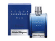 Tualetinis vanduo Salvatore Ferragamo Acqua Essenziale Blu EDT vyrams 50 ml цена и информация | Kvepalai vyrams | pigu.lt