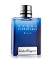 Tualetinis vanduo Salvatore Ferragamo Acqua Essenziale Blu EDT vyrams 50 ml цена и информация | Kvepalai vyrams | pigu.lt