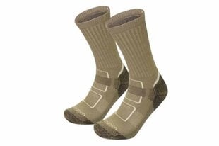 Kojinės vyrams Lorpen HUNTING COOLMAX 2 PACK, rudos kaina ir informacija | Vyriškos kojinės | pigu.lt