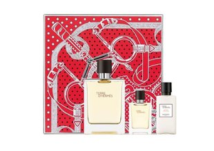 Туалетная вода Hermes Terre D´Hermes EDT 100 мл + бальзам после бритья Terre D´Hermes 40 мл + миниатюра Terre D´Hermes EDT 12,5 мл цена и информация | Мужские духи | pigu.lt