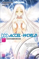 Accel World, Vol. 16 (light novel) цена и информация | Fantastinės, mistinės knygos | pigu.lt