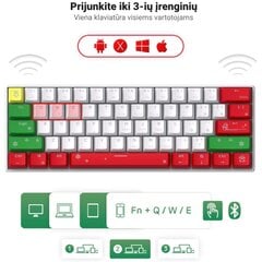 Royal Kludge RK61 TKL Blue Switches kaina ir informacija | Klaviatūros | pigu.lt