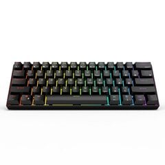 Royal Kludge RK61 TKL Brown Switches kaina ir informacija | Klaviatūros | pigu.lt