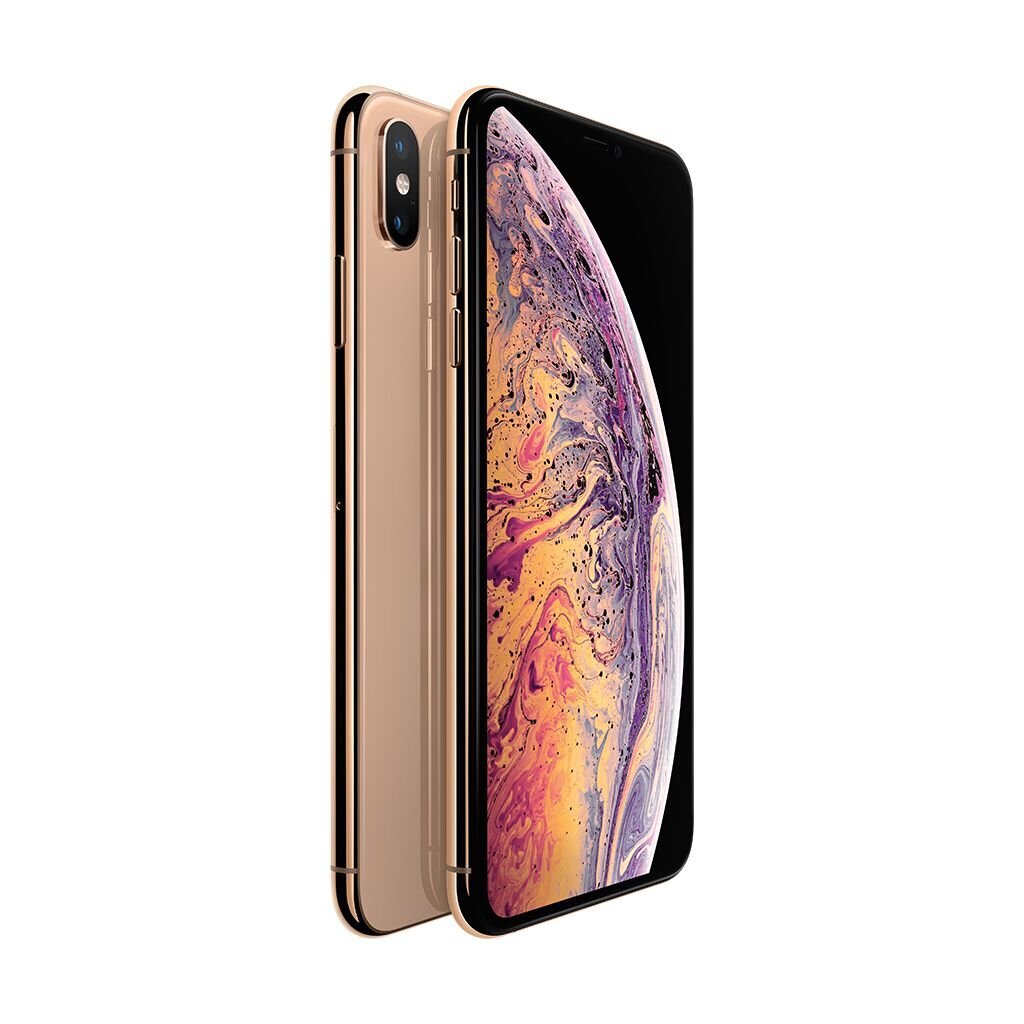 iPhone XS Max 256GB Gold (atnaujintas, būklė A) kaina ir informacija | Mobilieji telefonai | pigu.lt